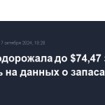 Brent подорожала до $74,47 за баррель на данных о запасах в США